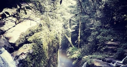 URARI ECOLODGE - COMMUNAUTĂ AUTOCHTONE
