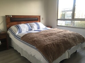 2 bedrooms, Internet, bed sheets, wheelchair access - Cozy and great apartment in the best place in Santiago (Santiago)