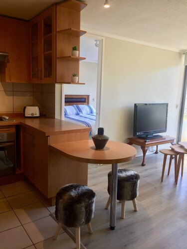 Cozy and great apartment in the best place in Santiago