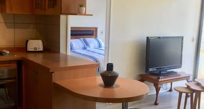 Cozy and great apartment in the best place in Santiago