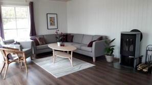 TV, fireplace, books