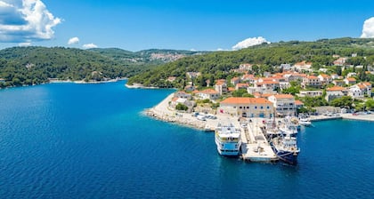 Villa dálmata tradicional con piscina privada, vistas al mar, isla de Brac