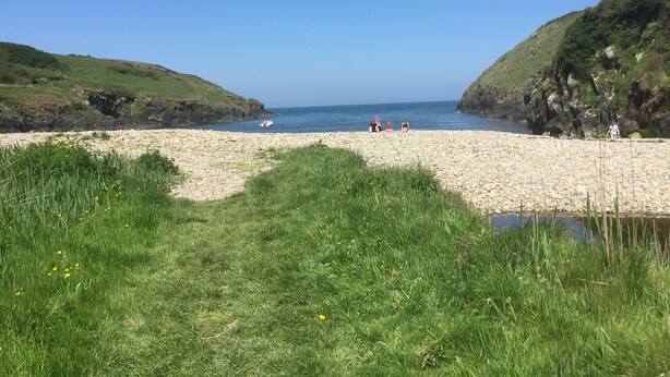 Una playa de guijarros con un primer plano de césped y acantilados rocosos.