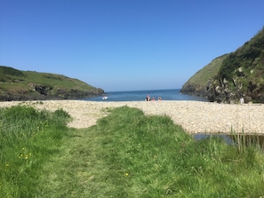 Una playa de guijarros con un primer plano de césped y acantilados rocosos.