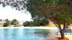A calm lake with a stone border, surrounded by trees and buildings in the background.