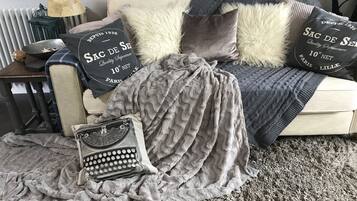 TV, DVD player, books, video library