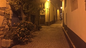 A narrow cobblestone street at night with stone buildings on either side, a street lamp, and a small bush with yellow flowers.