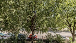 A parking lot with a red car parked near a tree. - BUDGET Split City Apartment with 3 Bedrooms, A/C and WI-FI Internet (Split)