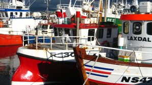 Un puerto deportivo con varias embarcaciones amarradas, mostrando nombres y números en sus costados.