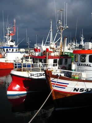 Puerto deportivo