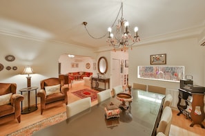 TV, fireplace, DVD player, books