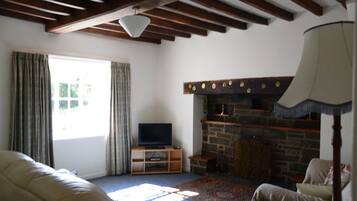 TV, fireplace, books