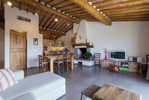 Smart TV, fireplace, DVD player, stereo - Le Redi: sustainable geothermal country villa, amazing views over Chianti hills (Quercegrossa)