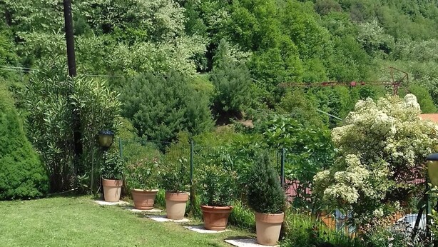 Una zona verda ben cuidada amb diverses plantes en testos i una estàtua.