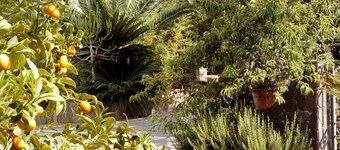 Casita GioJa a2km from TROPEA