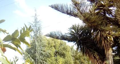 Casita GioJa, 2 km von TROPEA entfernt