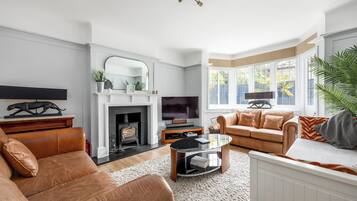 TV, fireplace, video games, DVD player