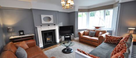 TV, fireplace, video games, DVD player