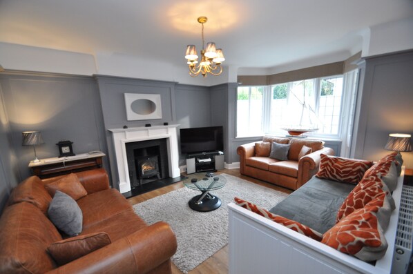 TV, fireplace, video games, DVD player