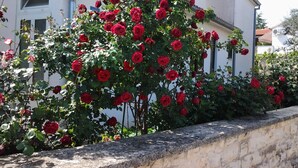 A building with a stone wall and a rose bush in front.