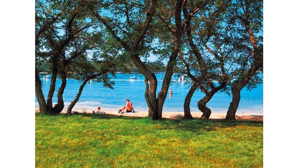 A park with trees and a lake.