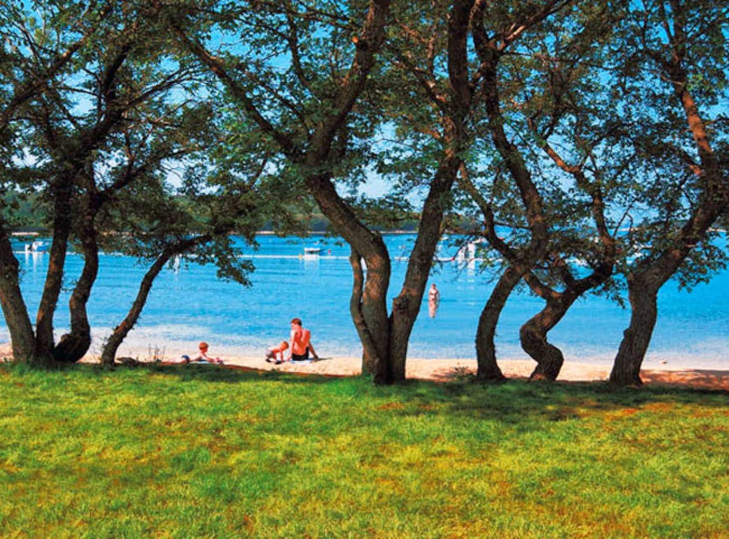 Um parque com árvores e um lago.