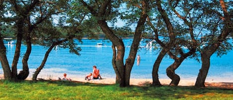 Un parque con árboles y un lago.
