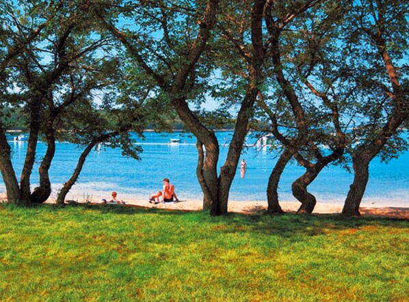 A park with trees and a lake.