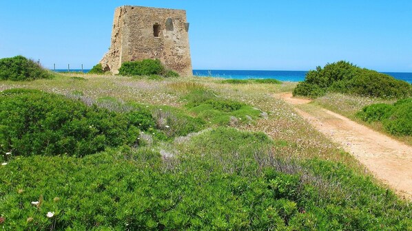 Una torre de piedra histórica rodeada de exuberante vegetación y un sendero de tierra que conduce al mar.