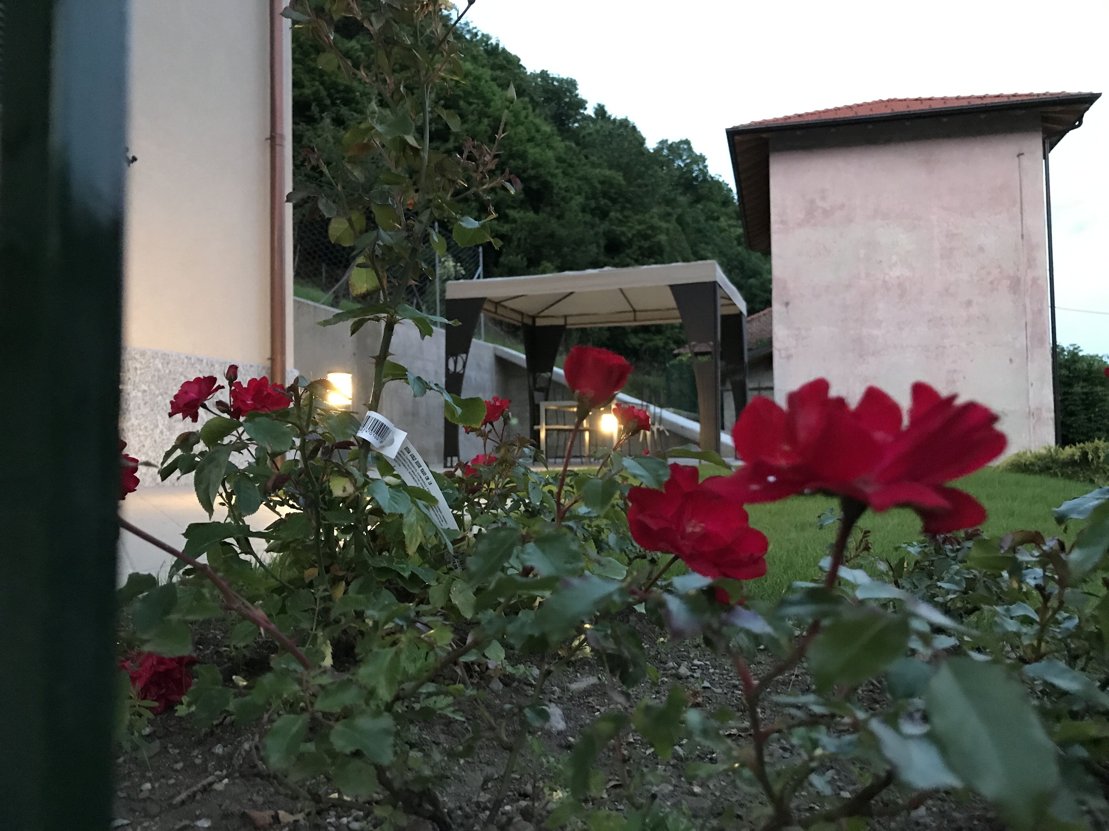 Parco della struttura