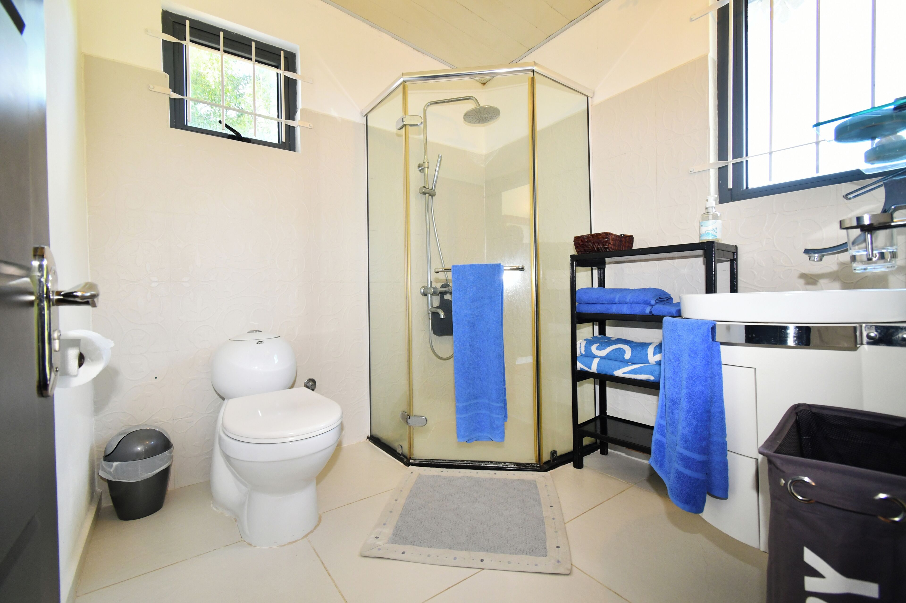 Une salle de bain avec une douche à parois de verre, des toilettes, un lavabo et une poubelle.