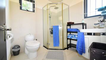 Shower, hair dryer, towels