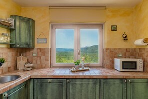 Fridge, microwave, dishwasher, coffee/tea maker - Peaceful Villa situated on the top of the hill with breathetaking view (Livade)