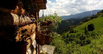 Chalet Zornica is a 250old stone buildingThe view from the rooms is breathtaking