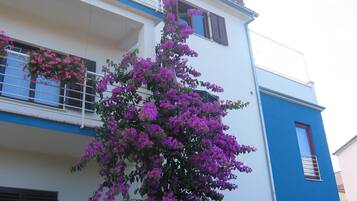 DĂ©tail de lâextĂ©rieur