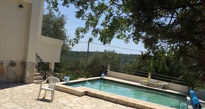 A spectacular olive grove location with true Mediterranean experience
