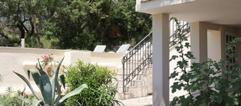 Ein spektakulärer Olivenhain mit echtem mediterranen Erlebnis 