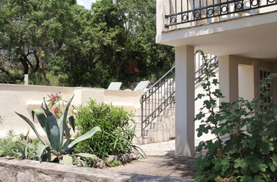 A spectacular olive grove location with true Mediterranean experience