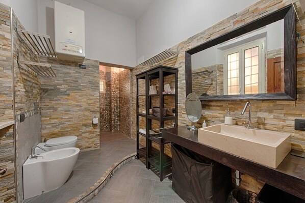 Shower, hair dryer, bidet, towels