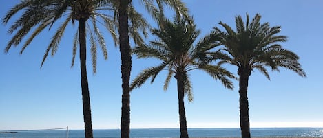 Ubicación cercana a la playa