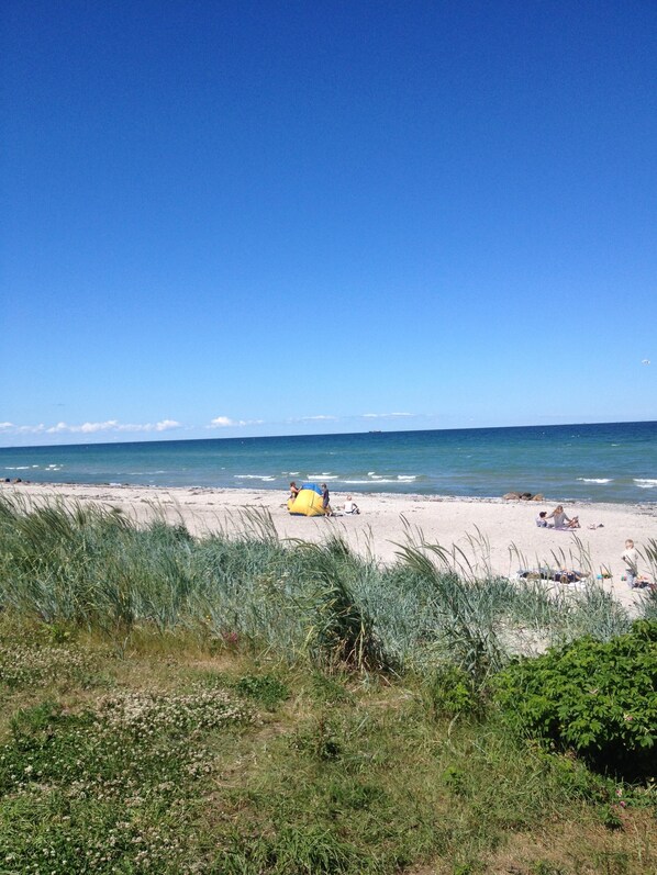 Una playa cerca