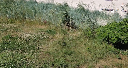 150 m de la plage hasmark. Pour toute la famille. Trampoline, vélos. animaux acceptés