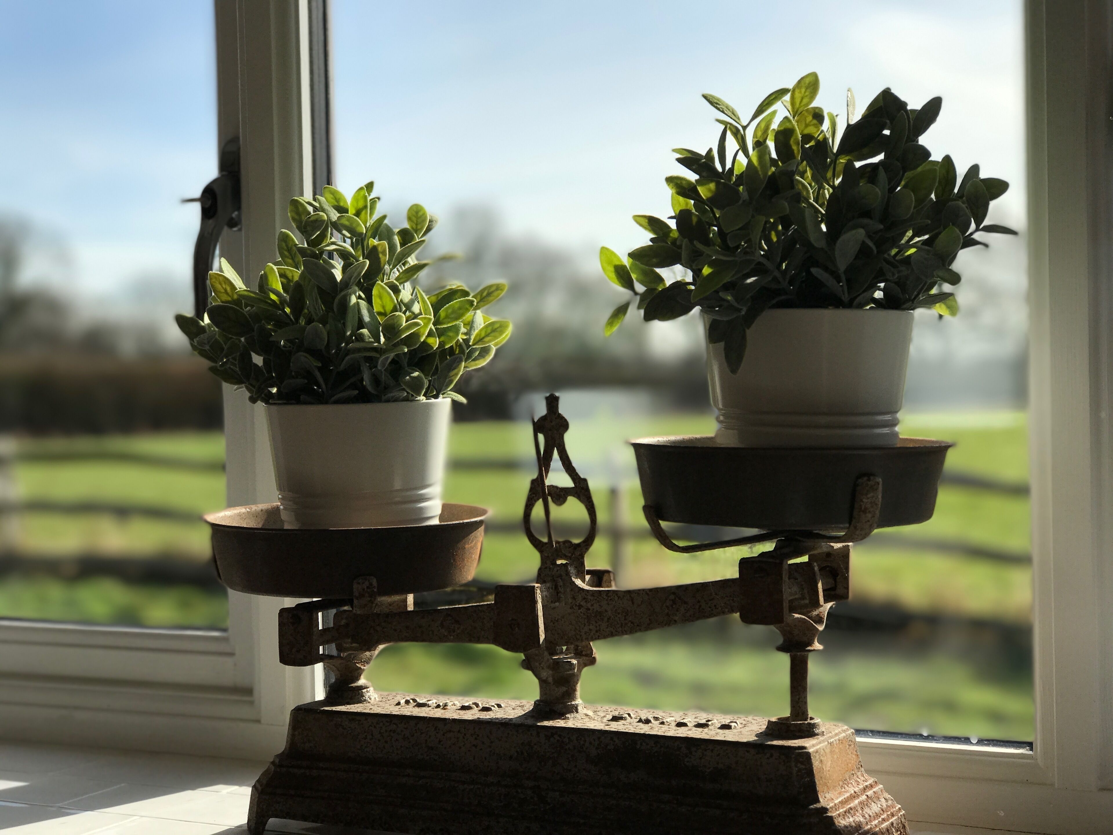 Une balance avec deux plantes en pot de chaque côté, placée sur un rebord de fenêtre d’où l’on peut admirer un paysage verdoyant.