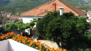A building with a red-tiled roof, surrounded by greenery and orange flowers. - Apartment for 4 persons in Jelsa on the island Hvar (Jelsa)