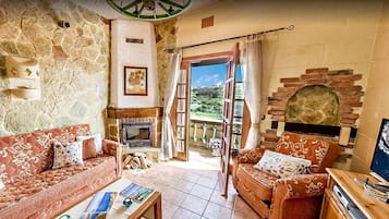 Smart TV, fireplace, DVD player, books