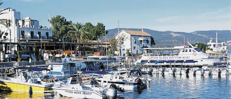 Marina