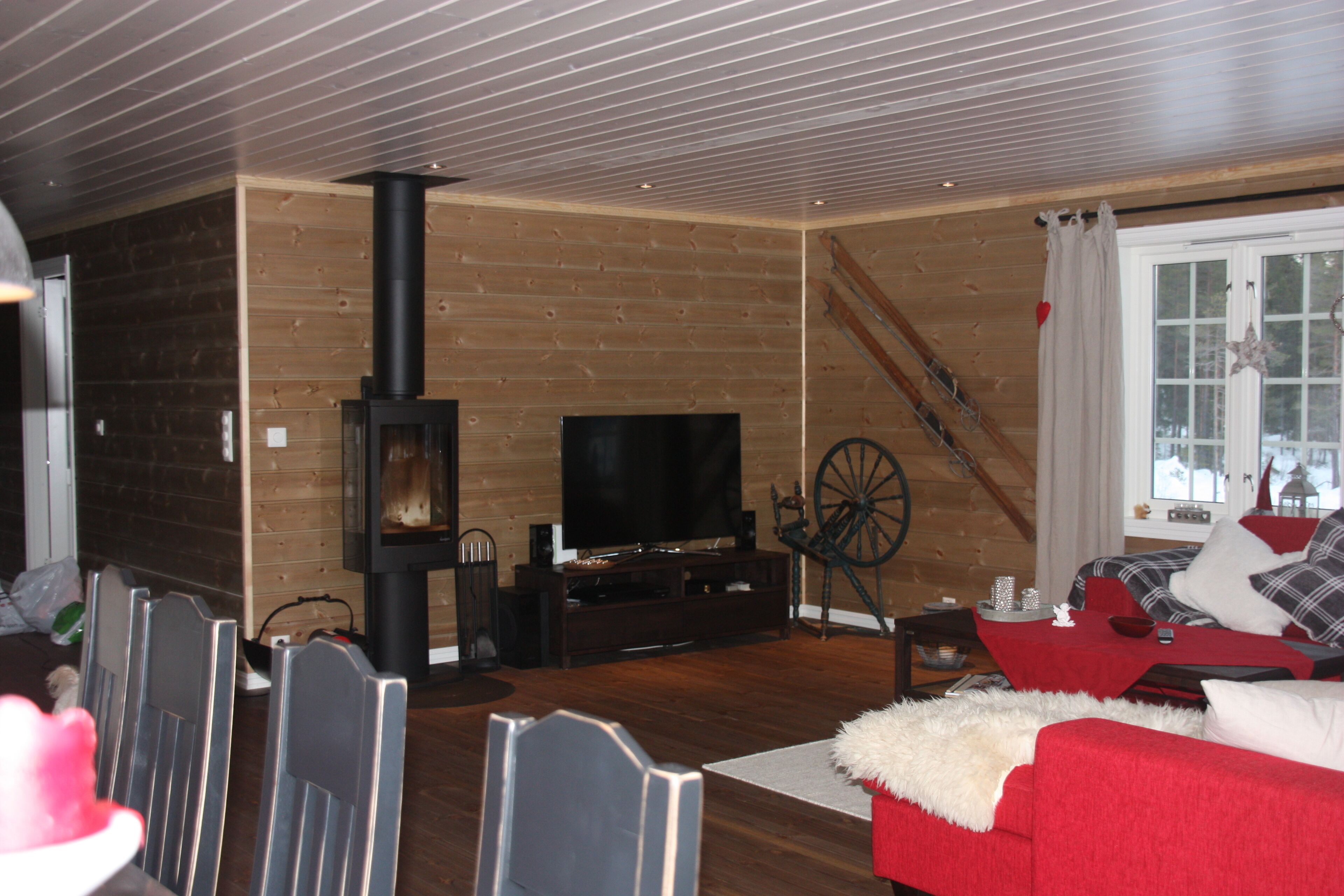 智能电视、壁炉、DVD 播放器、立体声音响