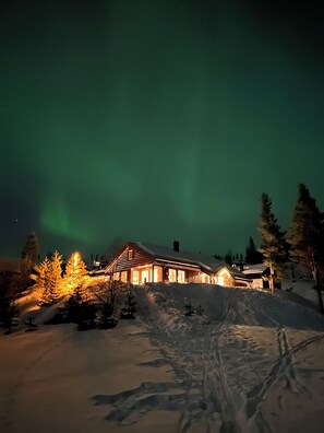 A snow-covered landscape with a wooden cabin illuminated by warm lights, surrounded by snow-covered trees and a clear night sky.