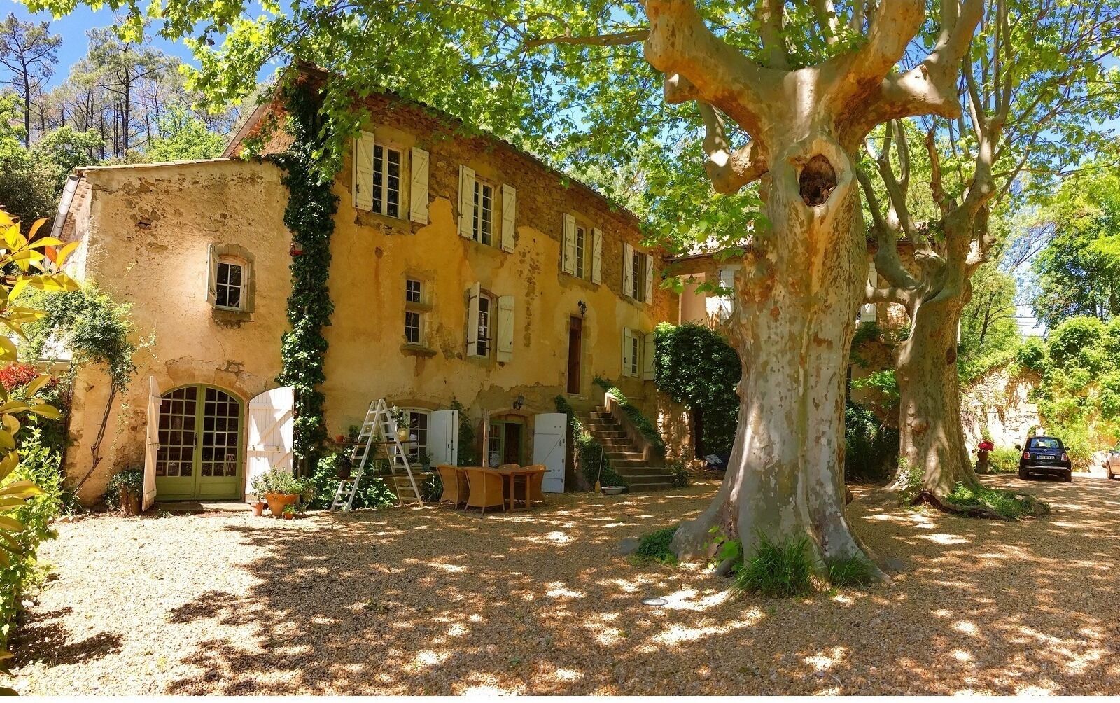 A rustic yellow building with a large tree in front, a gravel driveway, and a car parked nearby.