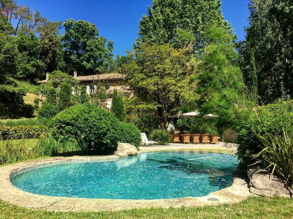 Relax by the serene pool surrounded by lush greenery and mature trees.